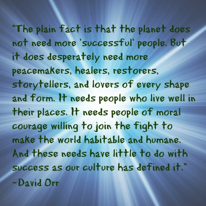 Healer, Peacemakers; DAvid Orr Quote