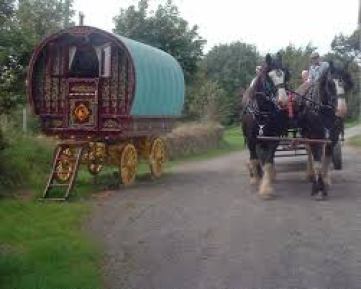 Gypsy Caravan and Horses